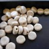 Coin - Solid - Image 2