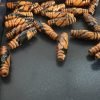 Zebra - Carved - Image 2