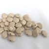 Shale - Solid Mutua Orange - Image 2
