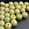 Round - Solid - Image 2