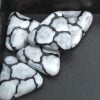New Triangle - Giraffe - Image 2