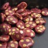 Shale - Dots Pebbles - Image 2